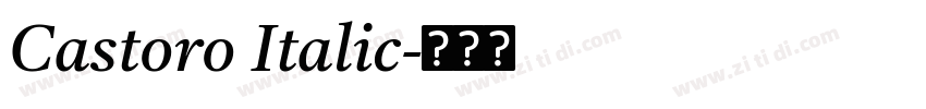 Castoro Italic字体转换